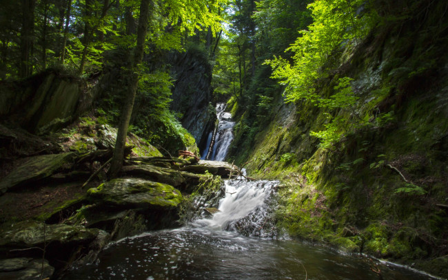 Обои картинки фото природа, водопады, камни, лес, водопад, деревья, вода