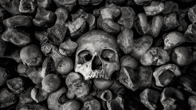 Обои картинки фото 3д графика, ужас , horror, фон, череп, камни