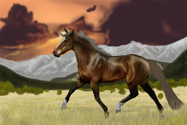 Обои картинки фото векторная графика, животные , animals, лошадь, фон