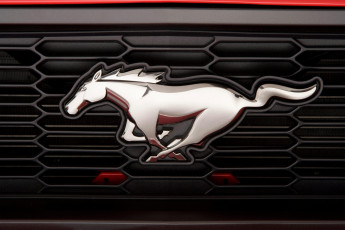 Картинка бренды авто-мото +-+другое лошадь форд мустанг логотип ford mustang s197 автомобиль решетка крупным планом марка