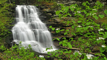 Картинка природа водопады река лес камни