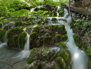 Картинка природа водопады речка лес каскад растительность