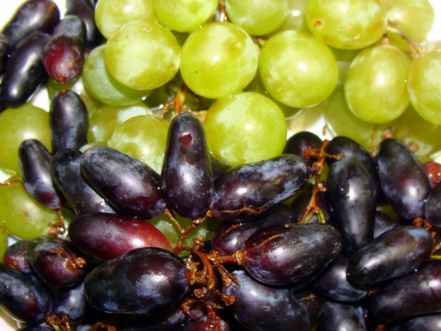 Обои картинки фото еда, виноград, ягоды