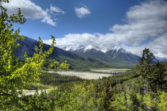 Картинка banff national park alberta canada природа горы rocky mountains банф альберта канада скалистые лес