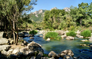 Картинка природа реки озера камни пороги стремнина река лес горы