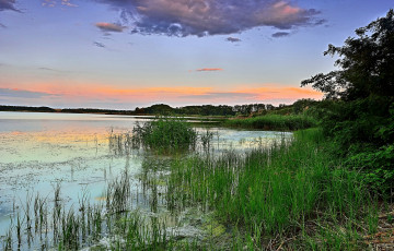Картинка природа реки озера заря лес озеро утро трава