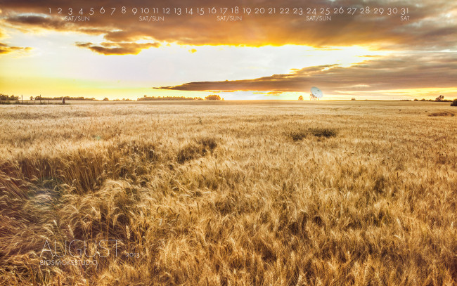 Обои картинки фото календари, природа, пшеница, поле