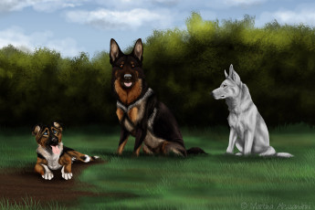 Картинка рисованные животные +собаки трава взгляд собаки