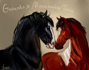 обоя рисованное, животные,  лошади, вороной, пара, любовь, кони, гнедая, лошади