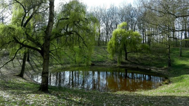Обои картинки фото природа, парк, пруд