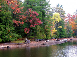 Картинка природа реки озера деревья осень река вода