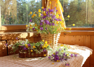 Картинка цветы луговые+ полевые +цветы сныть натюрморт лютики лето колокольчики