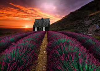 Картинка природа восходы закаты растительность дом горы закат пейзаж
