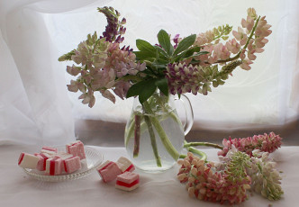 Картинка еда конфеты +шоколад +сладости цветы растения натюрморт люпины лето