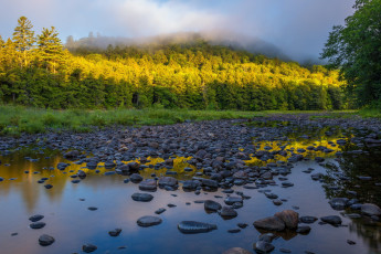 Картинка природа реки озера утро река туман лес
