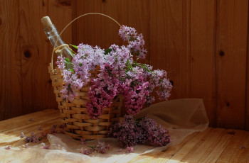 Картинка цветы сирень букет натюрморт корзина весна
