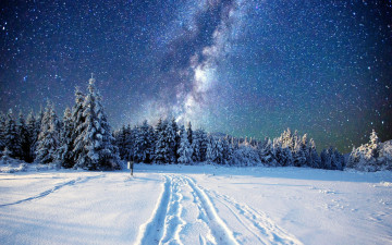 Картинка природа зима небо дорога снег деревья звездное