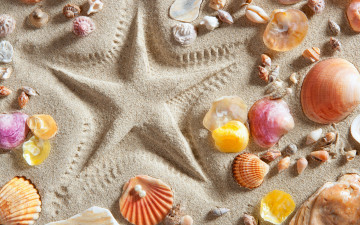 обоя разное, ракушки,  кораллы,  декоративные и spa-камни, песок, звезда