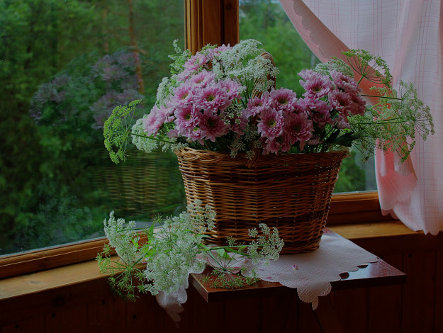Обои картинки фото цветы, хризантемы, букет, корзина, сныть, натюрморт
