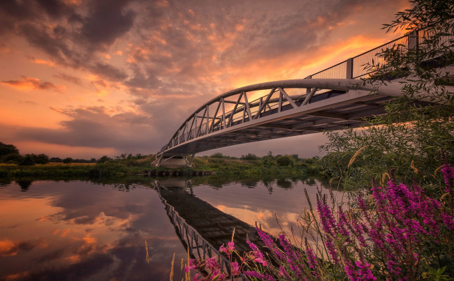 Обои картинки фото природа, реки, озера, река, мост, цветы