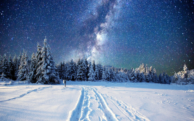 Обои картинки фото природа, зима, небо, дорога, снег, деревья, звездное