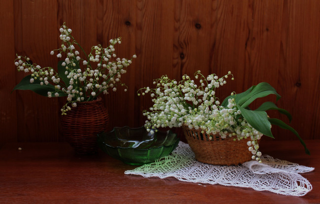 Обои картинки фото цветы, ландыши, растения, флора, натюрморт