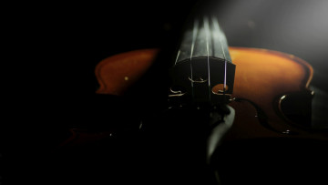 Картинка музыка -музыкальные+инструменты дека скрипка