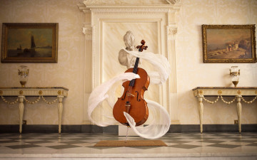 Картинка музыка -музыкальные+инструменты зал виолончель мебель шарф статуя