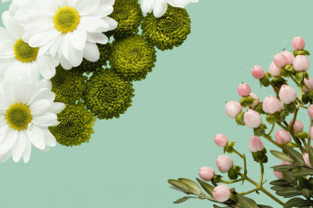 Картинка цветы разные+вместе хризантемы