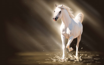 Картинка рисованное животные +лошади лошадь белая брызги