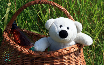 Картинка разное игрушки трава корзинка медвежонок