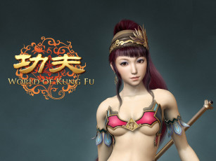 Картинка world of kung fu видео игры