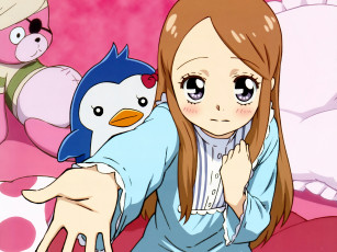 Картинка аниме mawaru penguin drum пингвин девушка