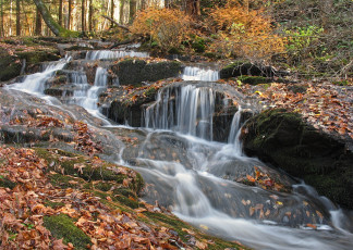 Картинка природа водопады осень листья поток вода камни
