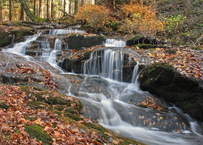 Обои картинки фото природа, водопады, осень, листья, поток, вода, камни