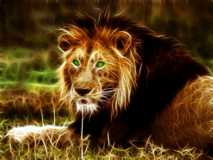Картинка 3д графика animals животные лев