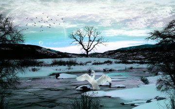 Картинка 3д графика animals животные река снег дерево лебедь