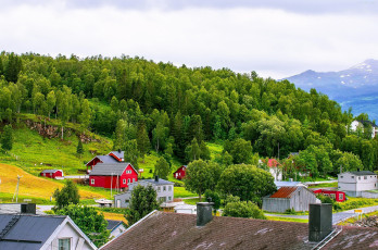Картинка города -+пейзажи пейзаж дома лес норвегия