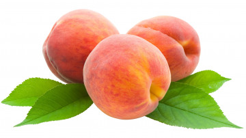 Картинка еда персики +сливы +абрикосы фрукты листья фон