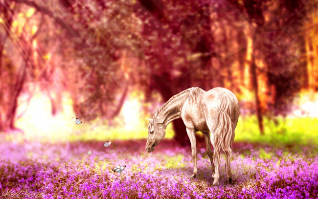 Обои картинки фото разное, компьютерный дизайн, природа, цветы, бабочки, ретушь, лошадь