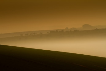 Картинка природа поля туман поле