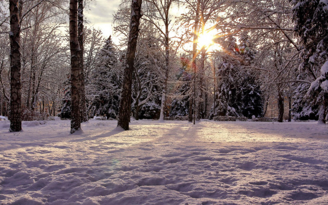Обои картинки фото природа, зима, пейзаж, k, закат, деревья