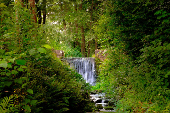 Обои картинки фото природа, водопады, пейзаж, деревья, лес, водопад