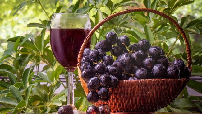 Обои картинки фото еда, виноград, бокал, вино, корзинка