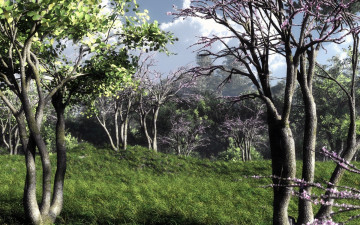 Картинка 3д графика nature landscape природа деревья