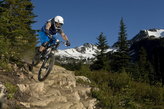 Обои картинки фото спорт, велоспорт, снег, downhill, mtb, горы, лес