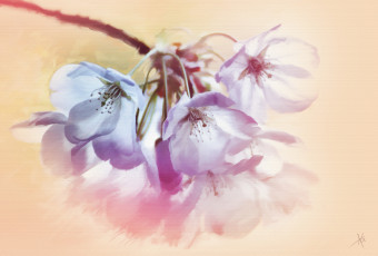 Картинка рисованные цветы ветка нежно цветение цветочки листики