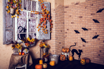обоя праздничные, хэллоуин, мыши, листья, летучие, виноград, декорация, тыквы