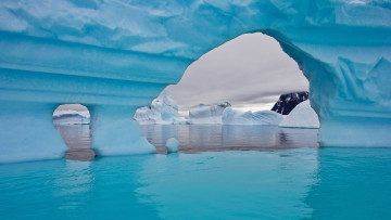 Картинка природа айсберги+и+ледники обои айсберг зима лед море вода снег