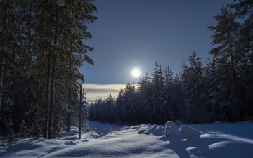 Картинка природа зима лес небо финляндия ели деревья снег сугробы